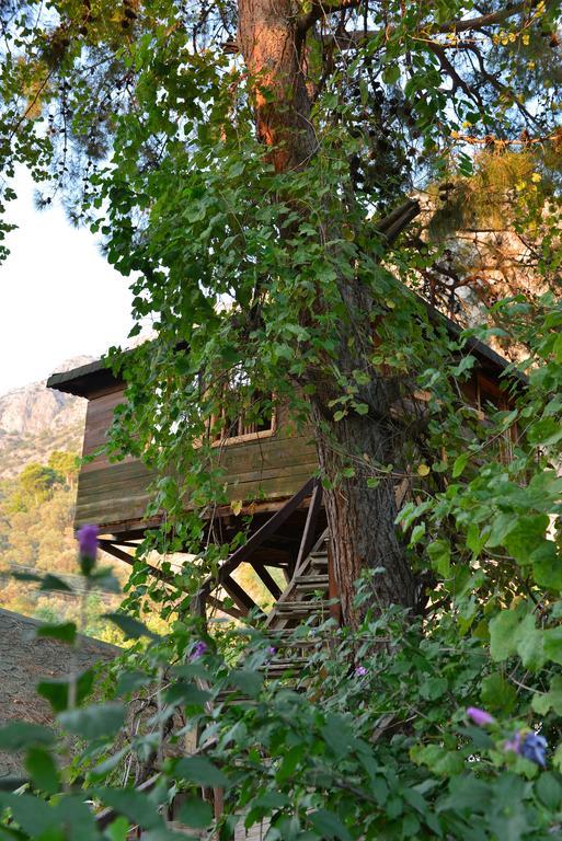 Hotel Gorge Club à Saklikent Chambre photo